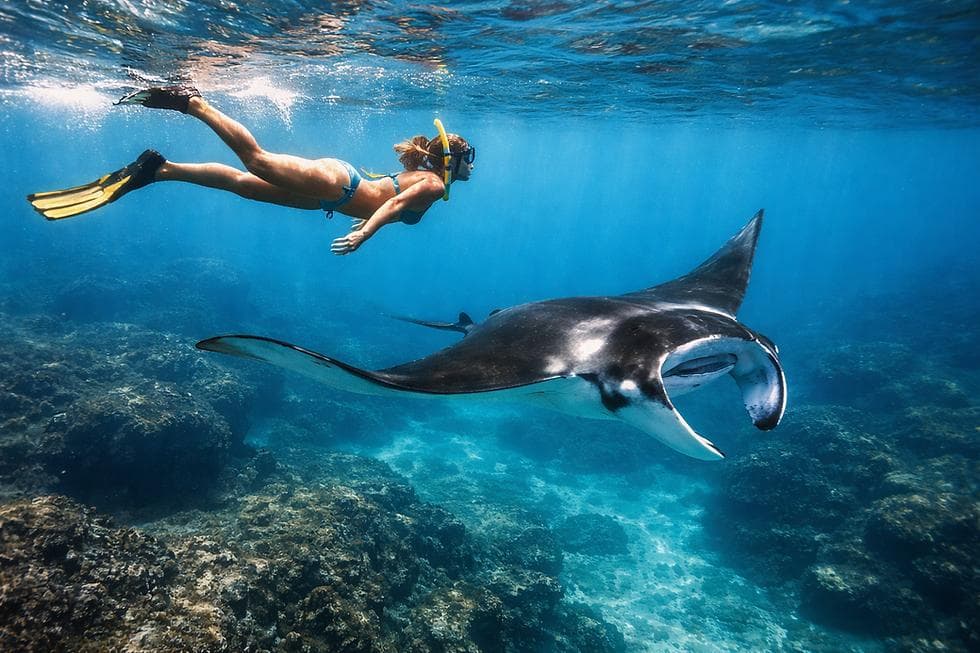 3 Point Snorkeling — snorkeling day cruise at Nusa Lembongan