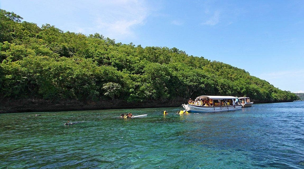 Day cruise tour photo 5