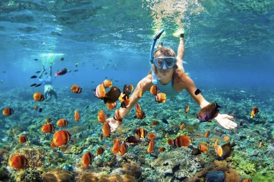 Special Package Snorkeling — snorkeling day cruise at Nusa Lembongan